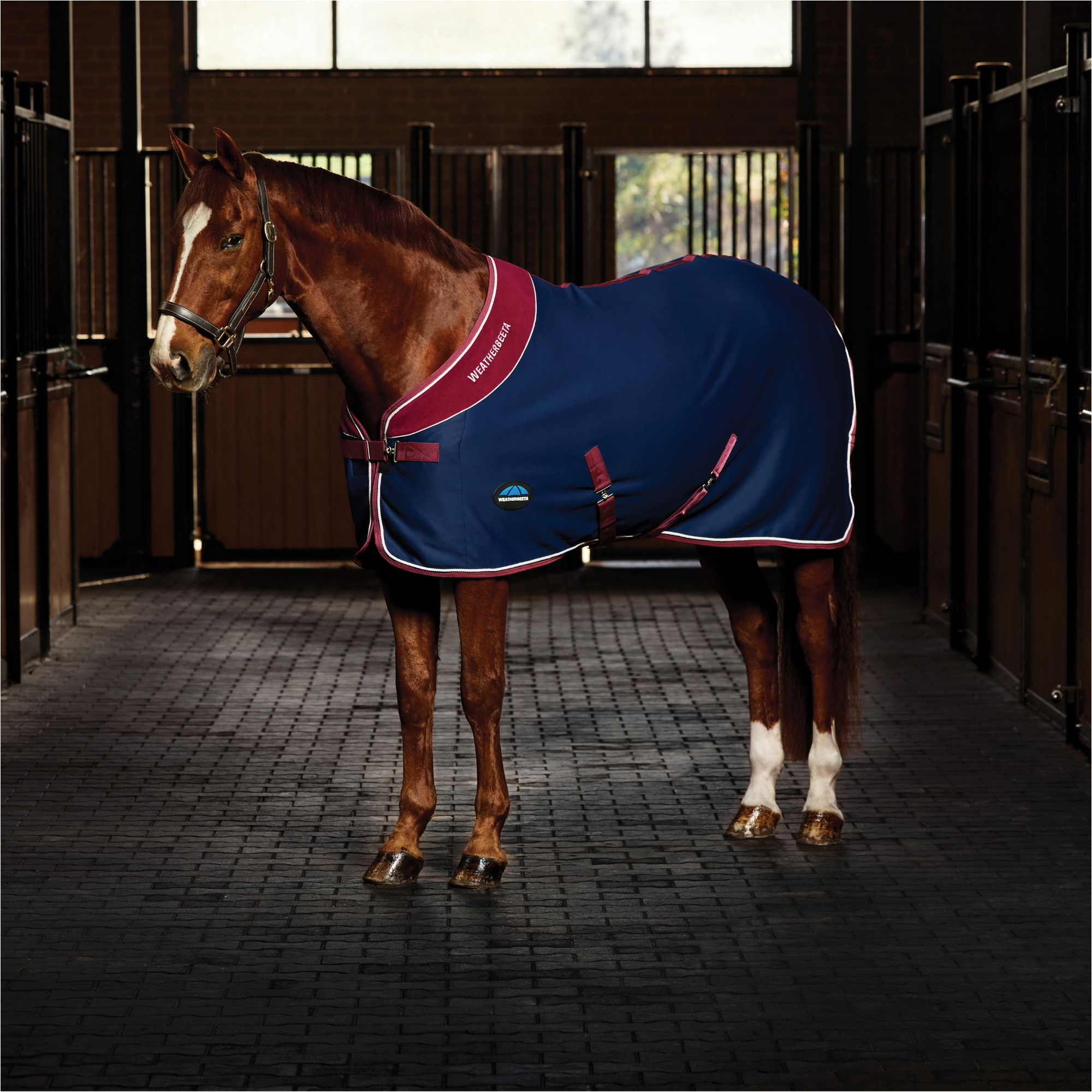2025 WeatherBeeta Opulence Show Sheet Standard Neck 1024534 - Navy